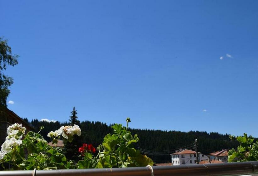 스탠다드 룸, Complex Pele