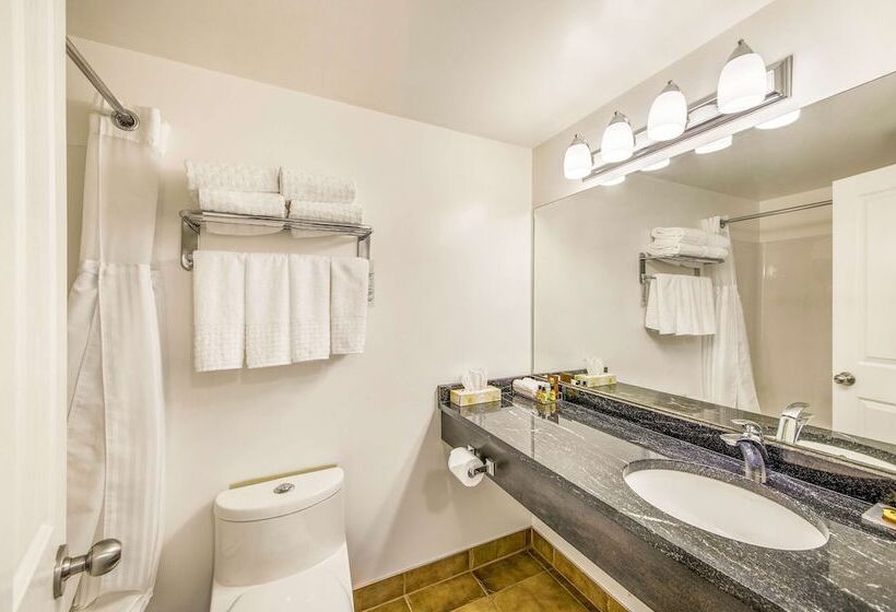 2ダブルベッドのスタンダードルーム, Kootenay Lakeview Resort Bw Signature Collection