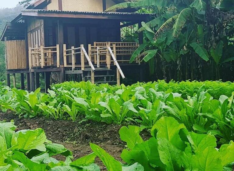 منزل غرفة نوم واحدة, Namkat Yorla Pa Resort