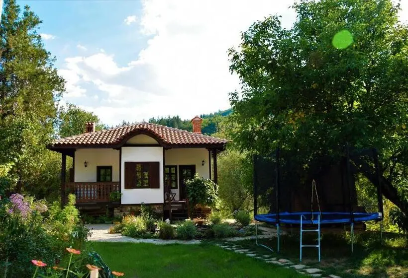 ビラホテル1ベッドルーム, Golden Horn Guest House
