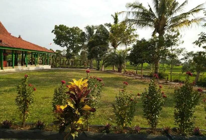 Quarto standard, Putri Duyung Guest House