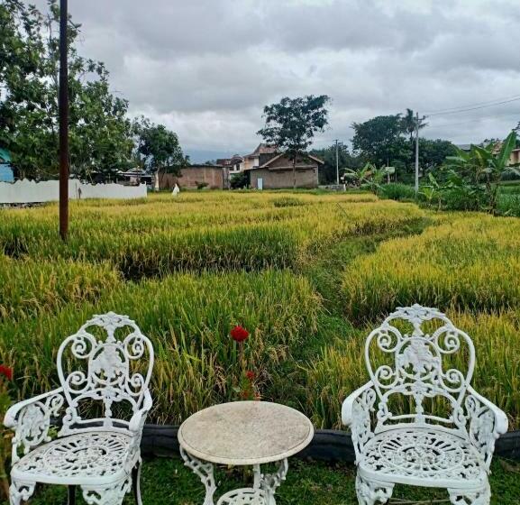 חדר סטנדרד יחיד חדר אמבטיה משותף, Putri Duyung Guest House