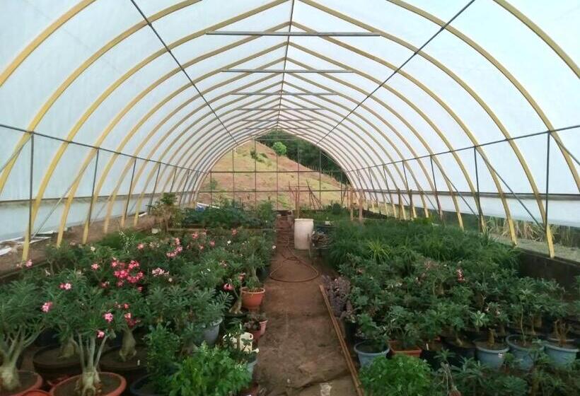 شقة غرفة واحدة مطلة على البحر, Casa Blanca Inn