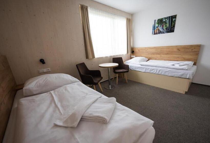 غرفة قياسية لذوى الاحتياجات الخاصة, Monínec   Depandance Nová Javorka