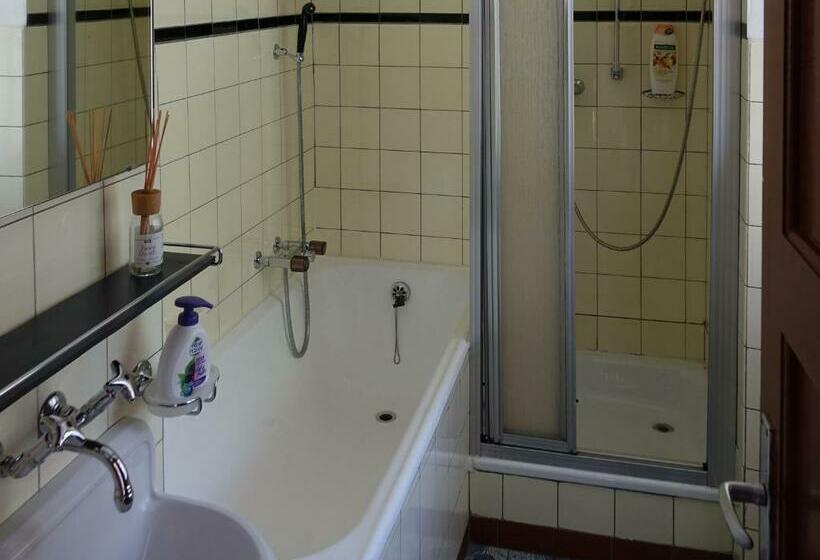 חדר סטנדרט יחיד, Pension Bellevue Gondo