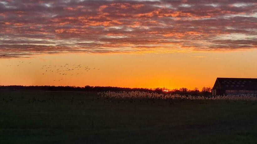 غرفة قياسية, B&b De Kan Hoeve