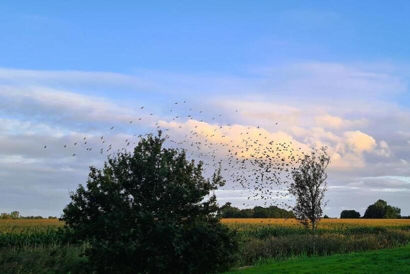 غرفة قياسية ذات إطلالة, B&b De Kan Hoeve