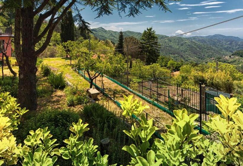 Апартаменты 1 Спальня Нижний Этаж, Oasi Verde