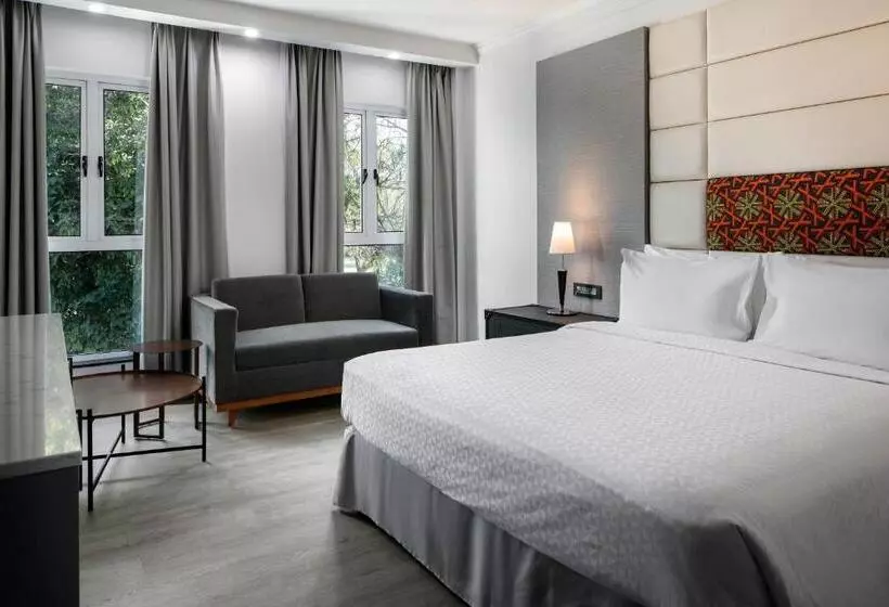 اتاق دلوکس با تخت کینگ و چشم‌انداز, Four Points By Sheraton Arusha, The Arusha