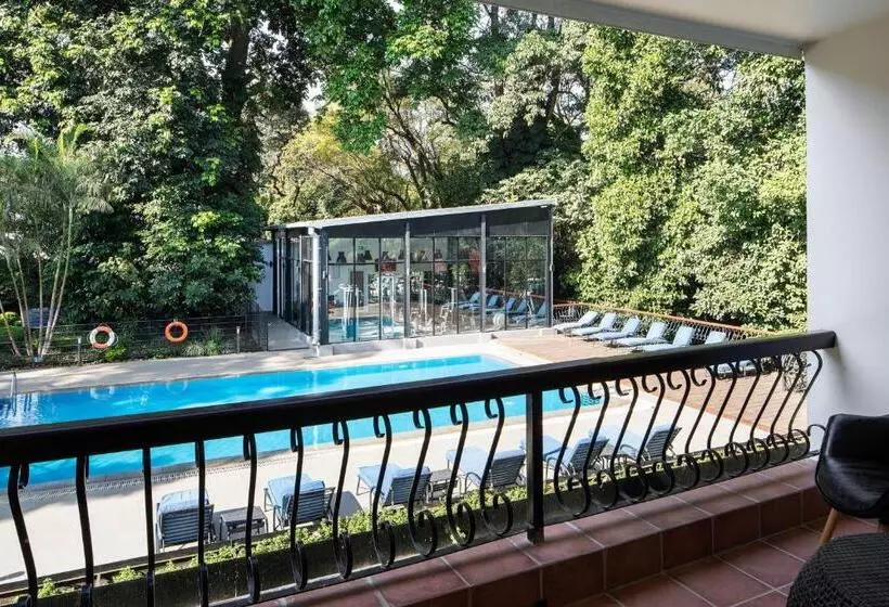 سوئیت پریمیوم, Four Points By Sheraton Arusha, The Arusha