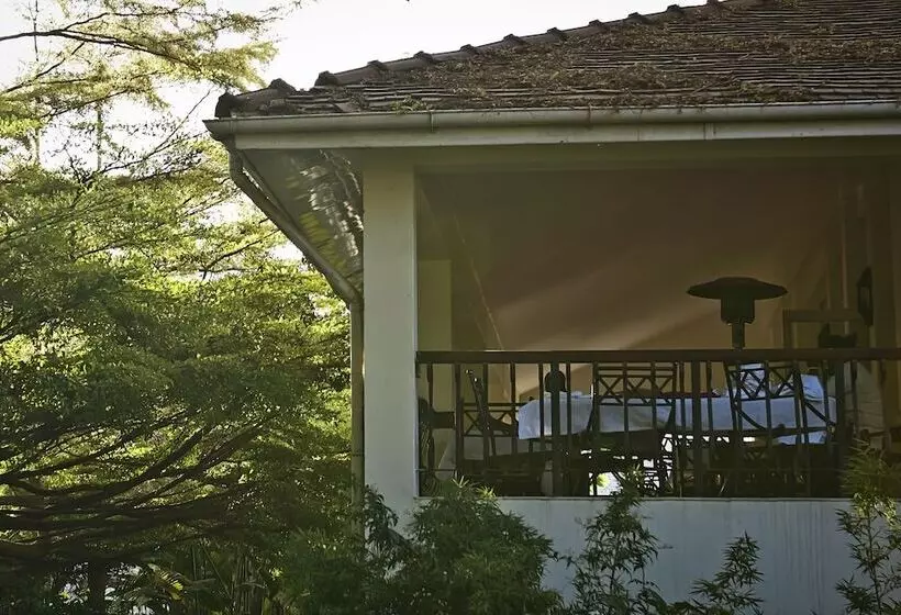 سوئیت پریمیوم, Four Points By Sheraton Arusha, The Arusha