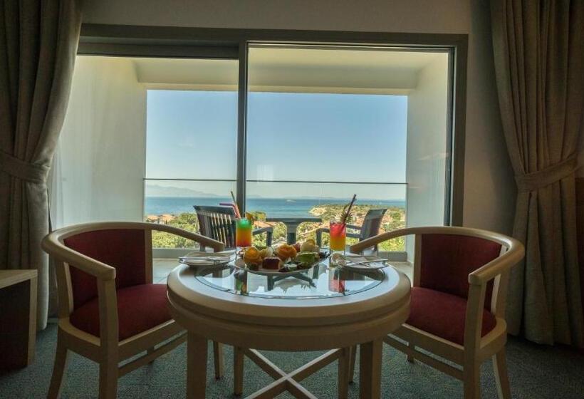 חדר סטנדרט נוף לים, Grand Hotel Ontur Cesme