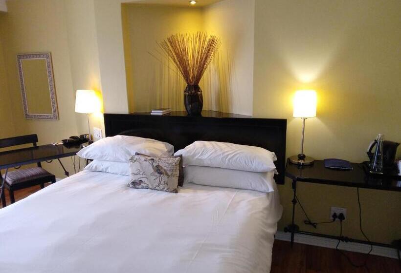 스탠다드 룸 킹사이즈 침대, Protea Hotel By Marriott Bloemfontein