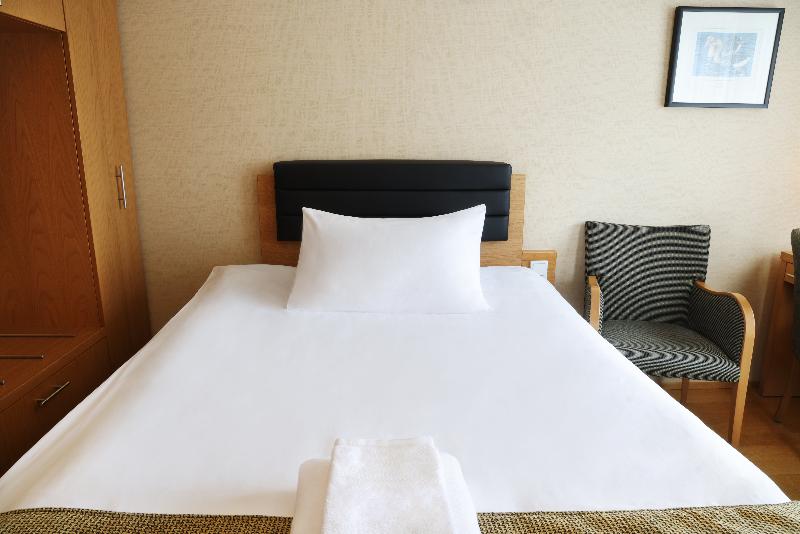 غرفة قياسية فردية, Reykjavik Centrum