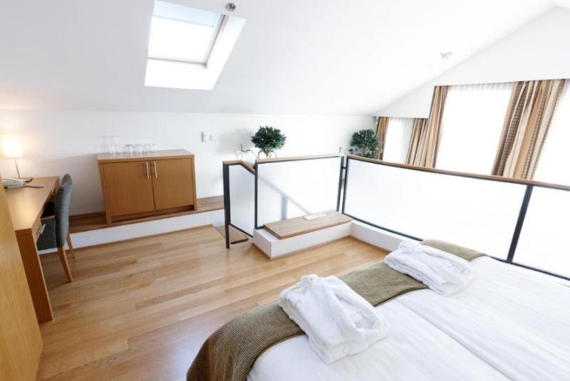 غرفة قياسية, Reykjavik Centrum