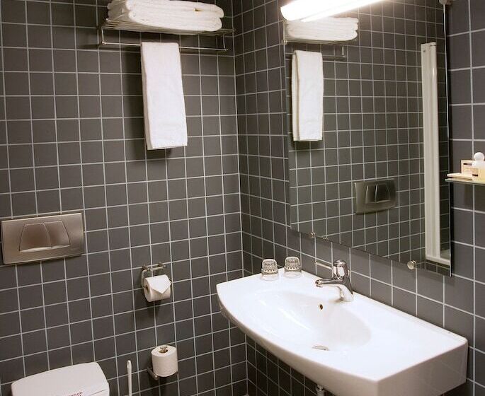 غرفة قياسية, Reykjavik Centrum