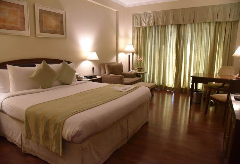 ビジネスルーム, Radisson Hotel Varanasi