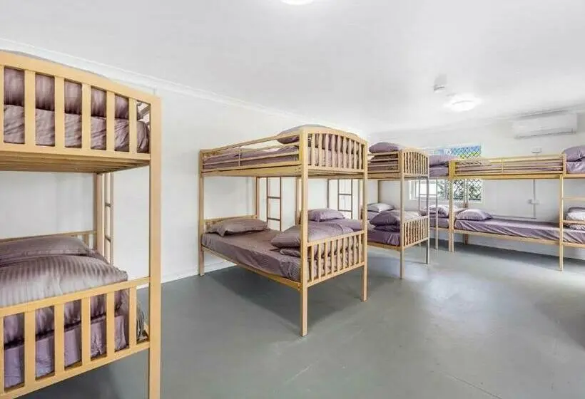 Bed in Shared Room with Shared Bathroom, Surf Inn Boutique Backpackers   Free Breakfast