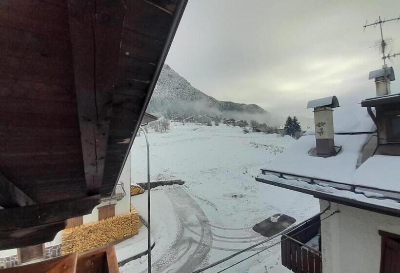 エコノミートリプルルーム, Serena