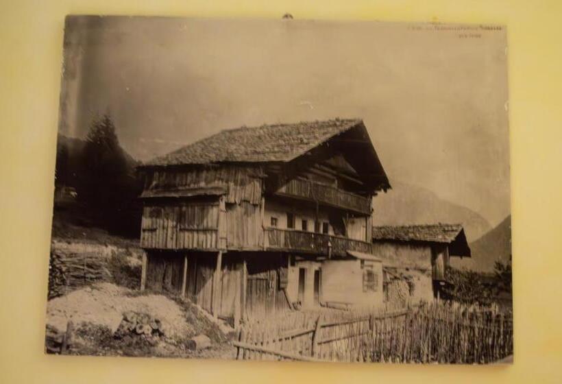 スタンダード4人部屋, Serena