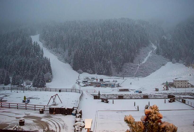 ベーシックルーム, Serena