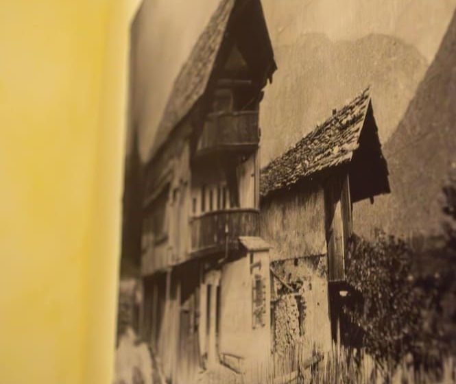 スタンダード4人部屋, Serena