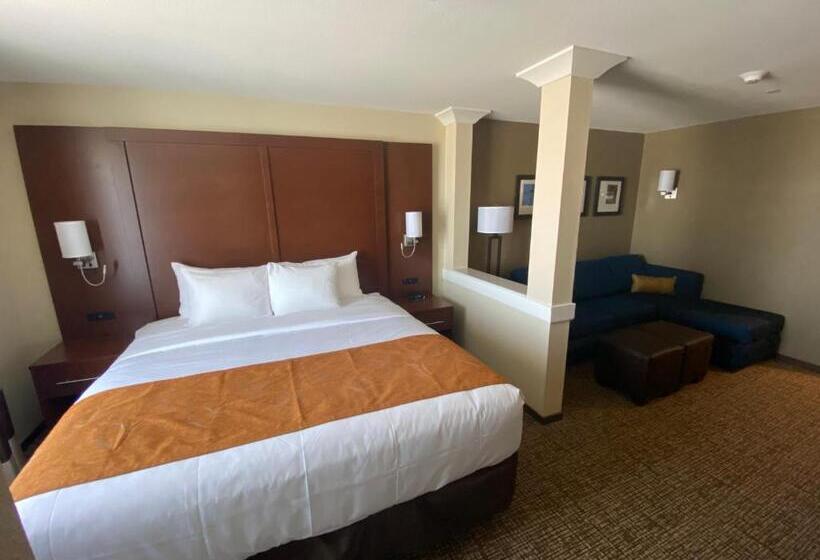 Люкс Адаптированный для Инвалидов, Comfort Suites Midland West