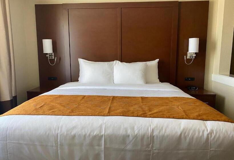 适合残疾人士使用的套间, Comfort Suites Midland West