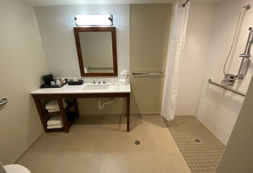 Люкс Адаптированный для Инвалидов, Comfort Suites Midland West