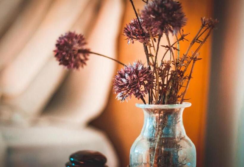 Люкс Повышенной Комфортности, Vilasira