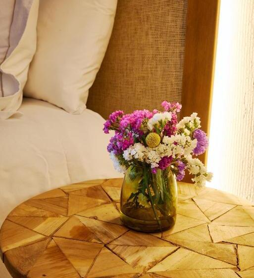 Номер Стандарт, Vilasira