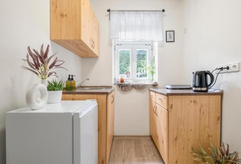 1ベッドルームアパートメント, Lysečinská Bouda