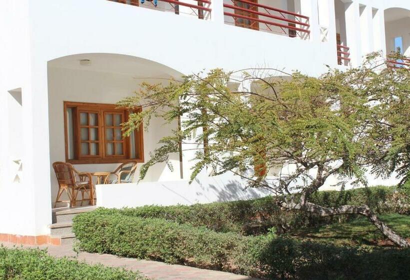 اتاق استاندارد با چشمانداز باغ, Happy Life Village Dahab