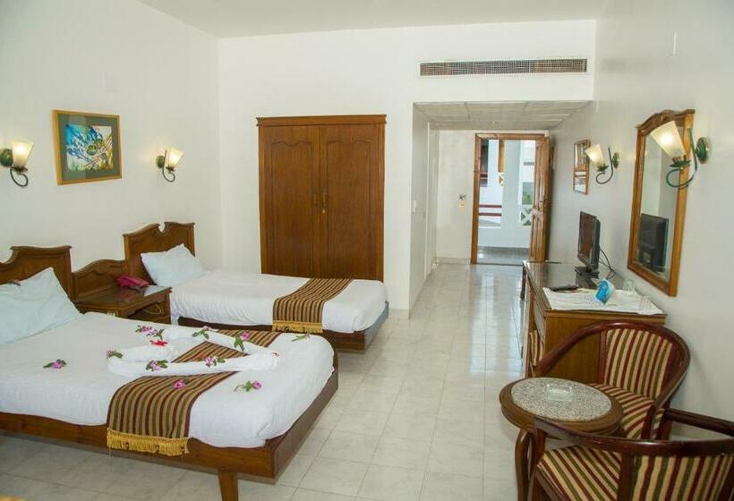 استودیوی استاندارد با چشمانداز دریا, Happy Life Village Dahab