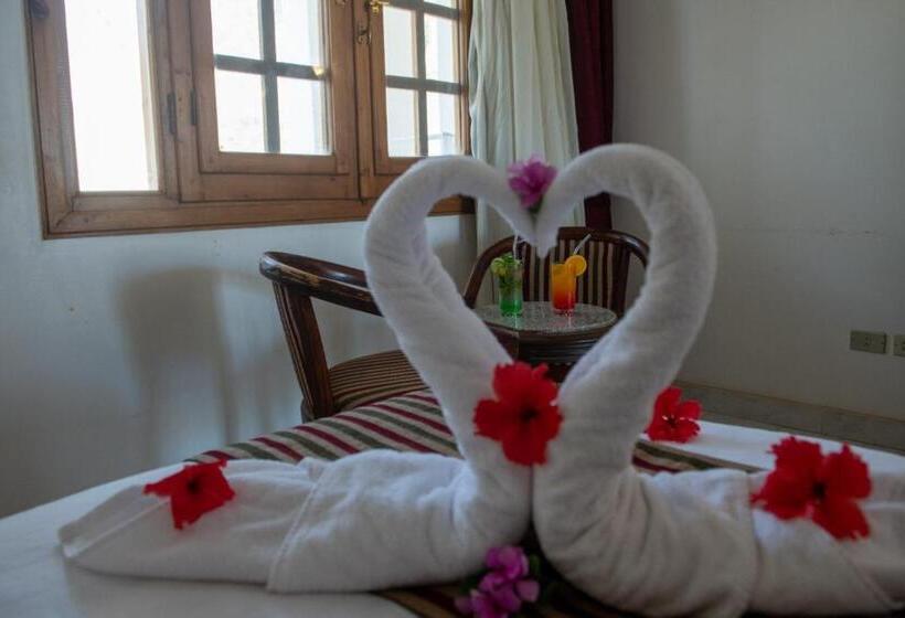 استودیوی استاندارد با چشمانداز دریا, Happy Life Village Dahab