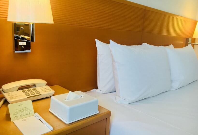 غرفة قياسية, Welco Narita