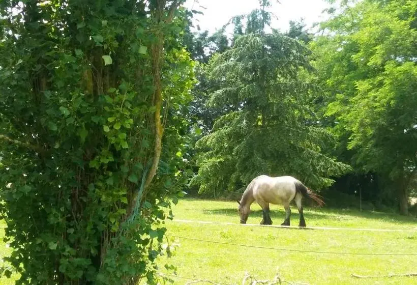 3ベッドルームハウス, Manoir De Vilaines