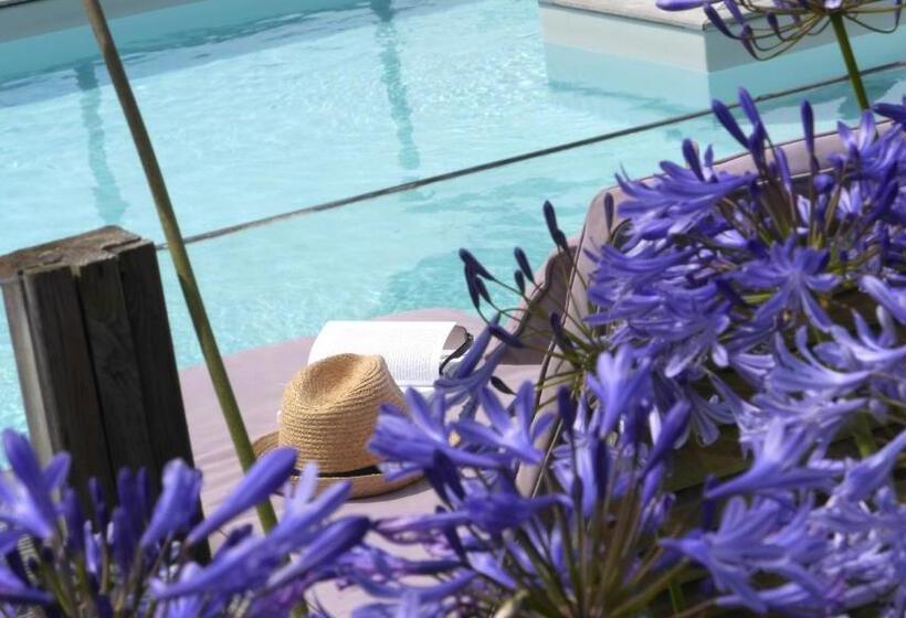 プールの見える１ベッドルームアパートメント, Villa Mané Lann Maison D Hôtes & Spa