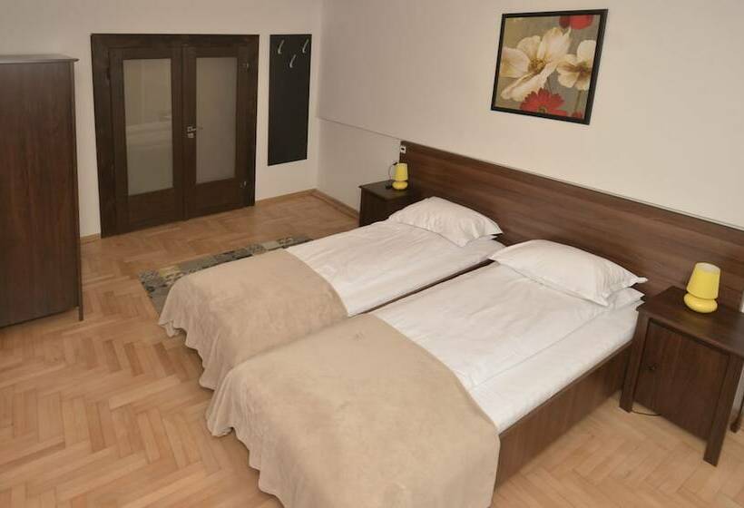 带1个卧室的经典公寓, Casa Roth Apartments
