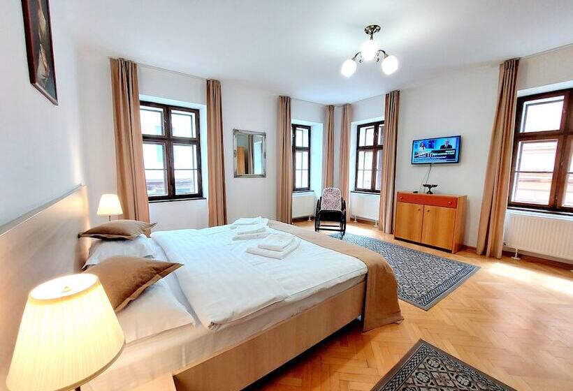 带1个卧室的豪华公寓, Casa Roth Apartments