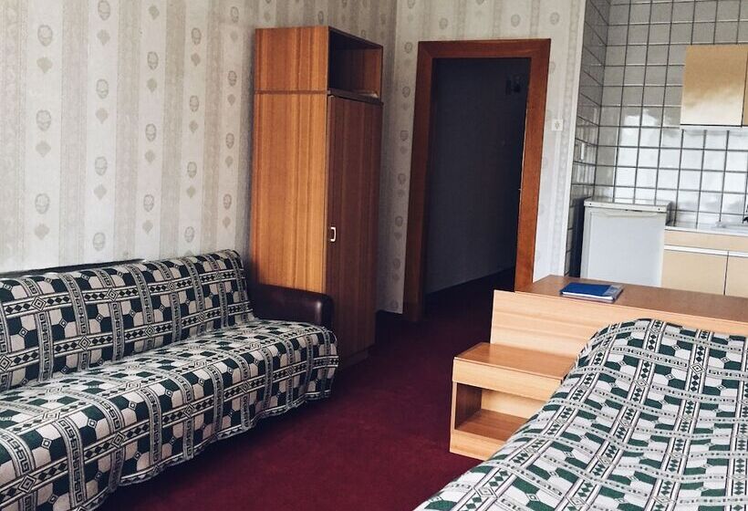 اتاق اکونومی یک تخته, Dis President