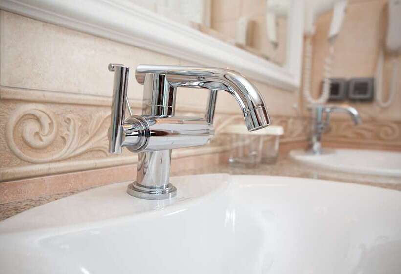 プレジデントスイートルーム, Don Plaza Congress