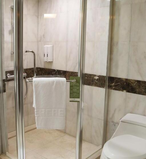 اتاق لوکس, Evergreen Plaza Hotel Tainan