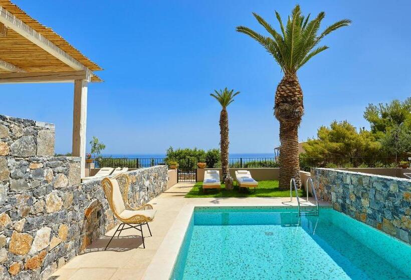 スタンダードスタジオ, Marni Village