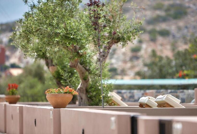 1ベッドルームアパートメント, Marni Village