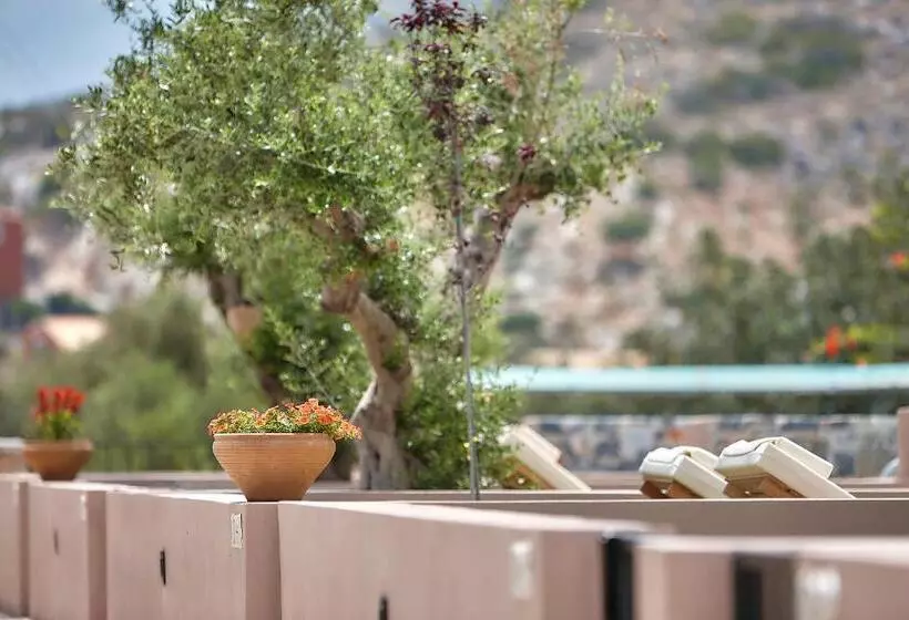 آپارتمان 1 خوابه, Marni Village