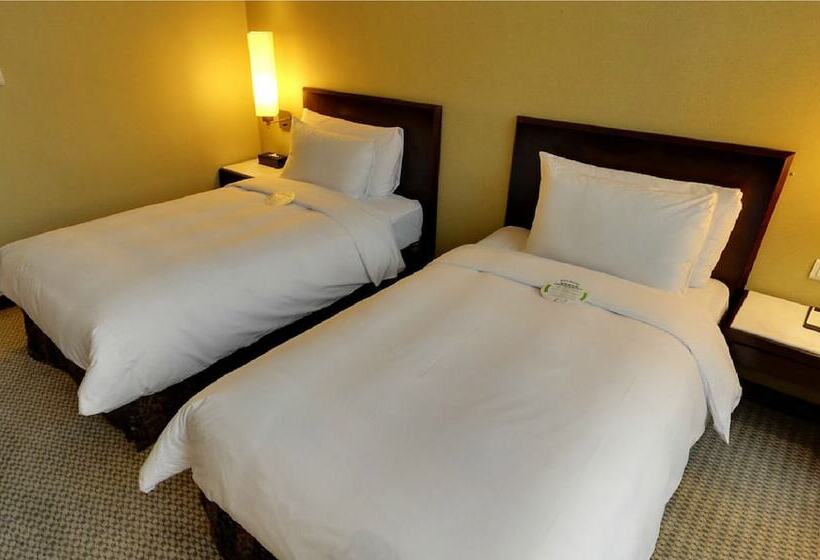 スタンダードルーム, Taipei International