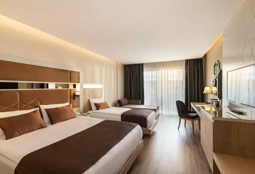 デラックスルーム, Swandor Hotels & Resorts   Topkapi Palace