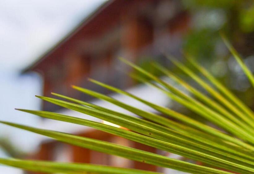 דירת דופלקס בת חדר שינה 1, Managua Apart