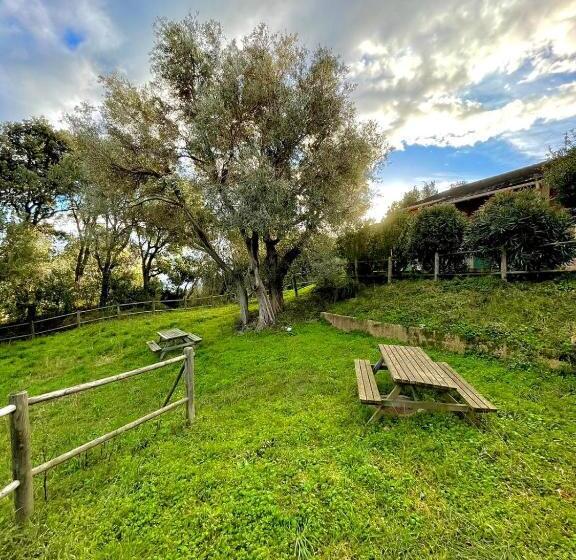 4인용 스탠다드 룸, Le Relais De Sisco